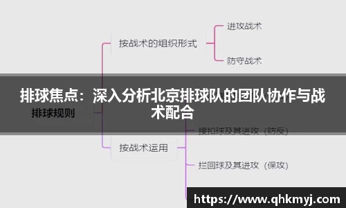 星空·综合体育官方网站